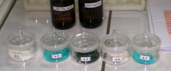 Fe2 реагенты. Бюкса 200. Кристаллогидрат сульфата железа. Кристаллогидрат хлорида никеля. Кристаллогидрат хлорида меди 2.